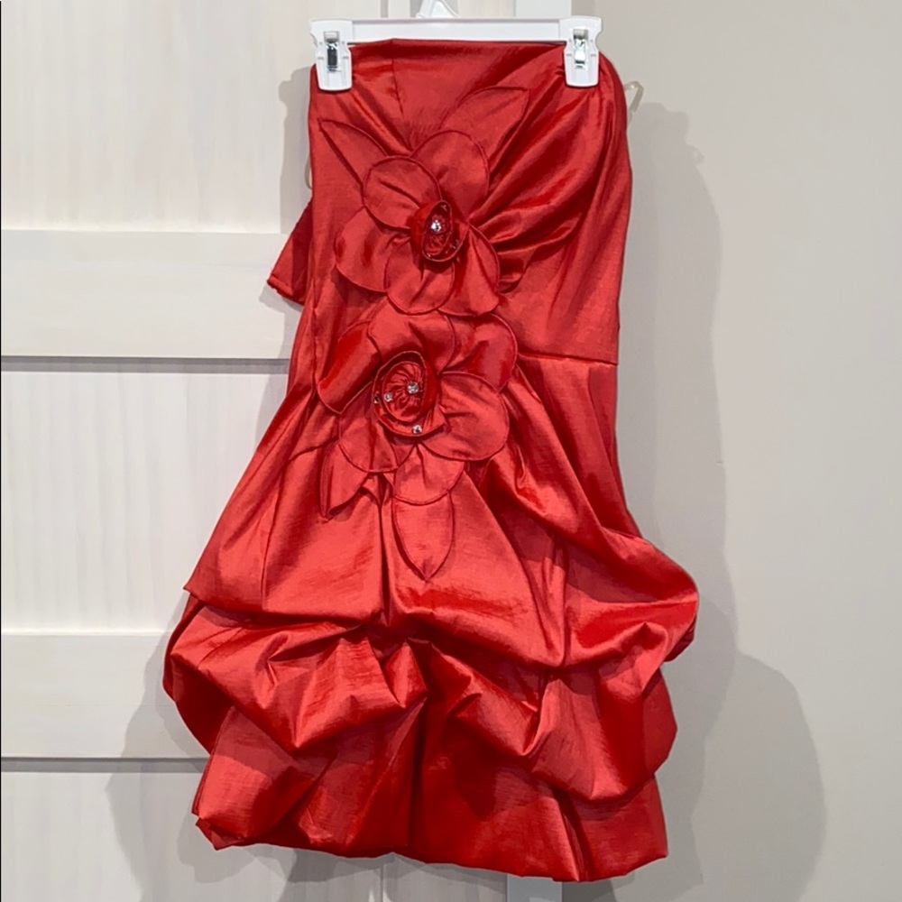 Dress ! super cute never worn.
